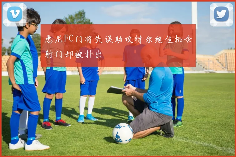 悉尼FC门将失误助攻特尔绝佳机会射门却被扑出